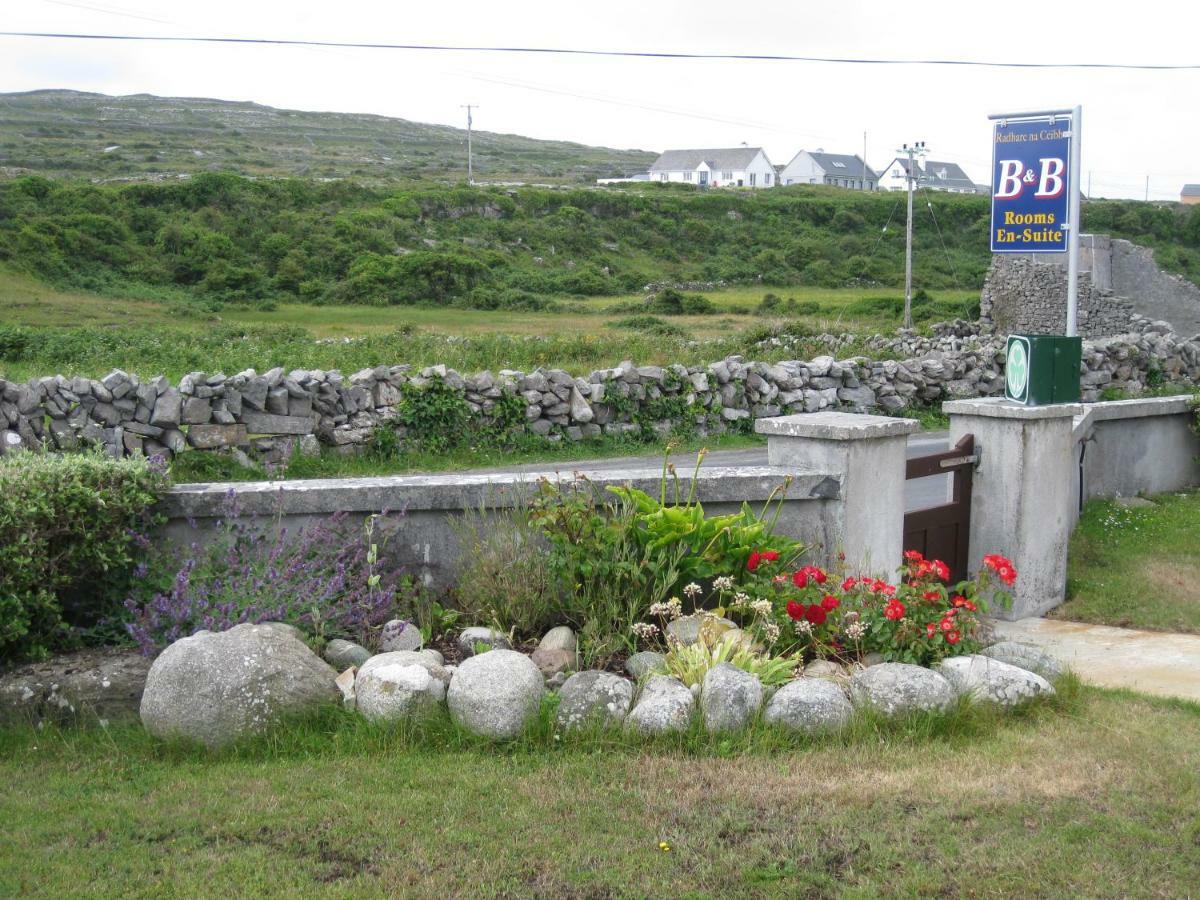 Radharc Na Ceibhe B&B H91 V0Y3 Kilronan  Exteriér fotografie